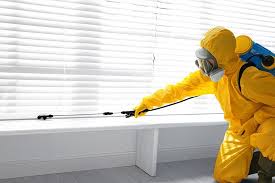 Real Estate Pest Inspections in Collinsville, VA